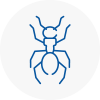 Ant Removals In Tipton