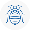 Bed Bug Extermination In Tipton