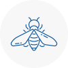Bee Nest Removal Tipton