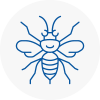Tipton Hornet Nest Removals