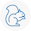 Tipton Rodent Removals