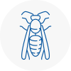 Tipton Wasp Nest Removal